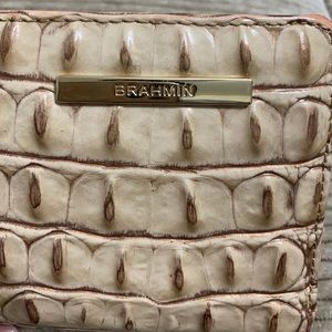 Brahmin wallet (stardust)
